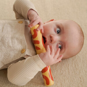 5x-Rattle-Pegs-Mixed-slide-4